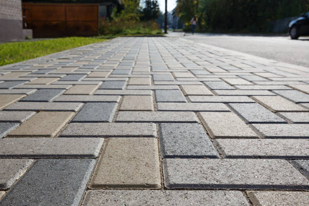 Best Affordable Driveway Paving  in Little Canada, MN